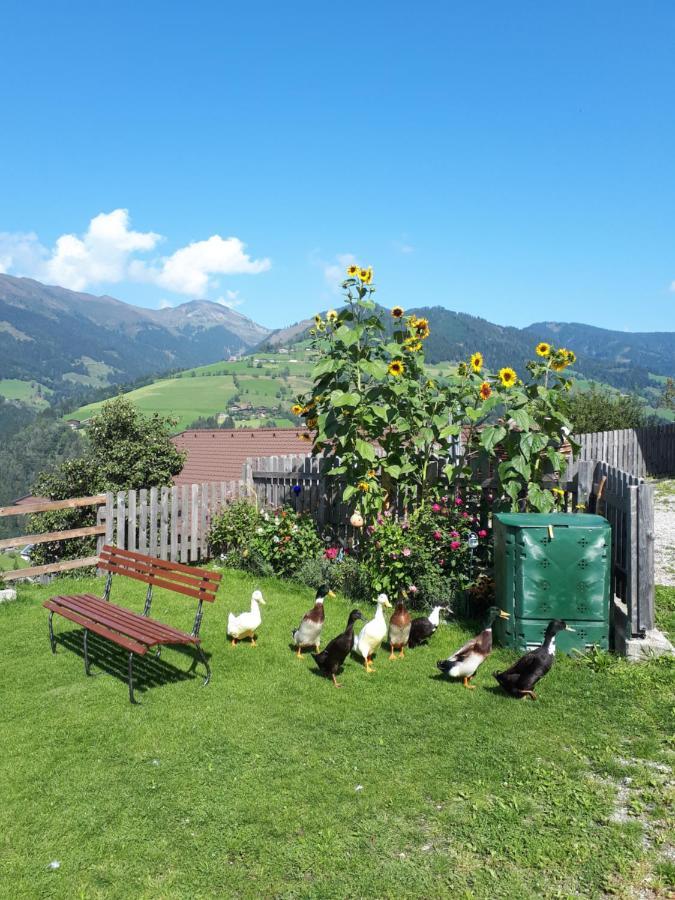 Ferienhaus Unterblasbichl Villa Fusch an der Glocknerstraße Exteriör bild